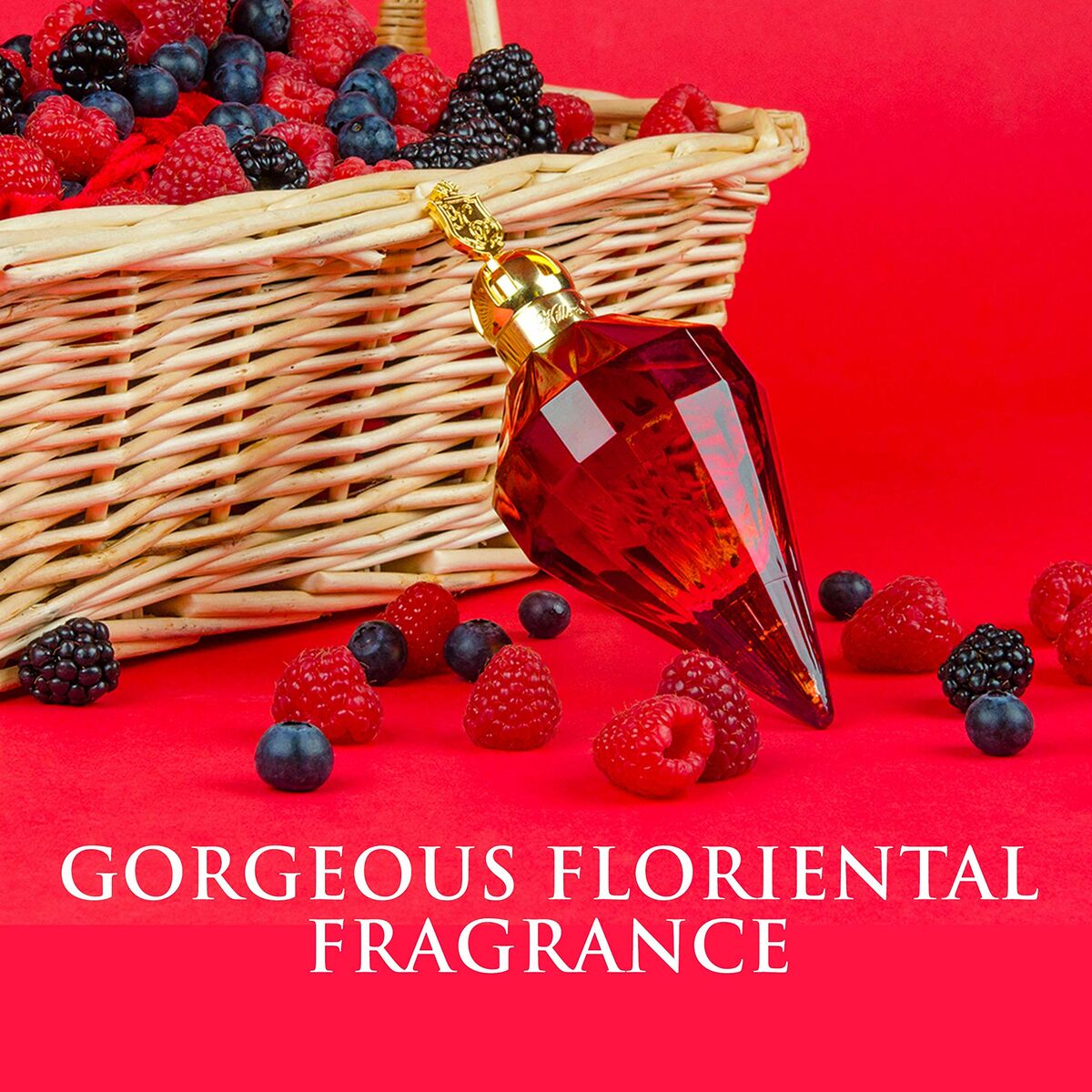 V4HDAFD0EC5C769425869A22CCE3B9D654FR5180772P6